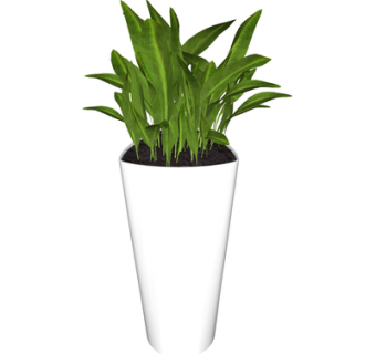 现代绿植盆栽su模型