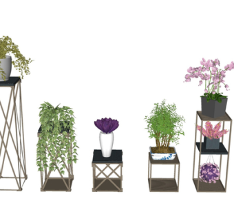 现代绿植盆栽su模型