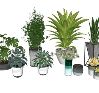 现代绿植盆栽su模型