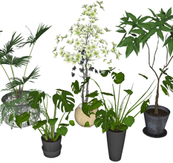 现代绿植盆栽su模型