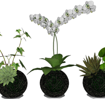 现代绿植盆栽su模型