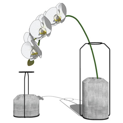 现代蝴蝶兰花瓶su模型