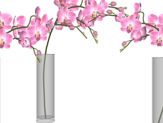 现代蝴蝶兰花瓶花卉su模型