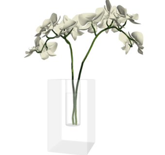现代蝴蝶兰花瓶花卉su模型