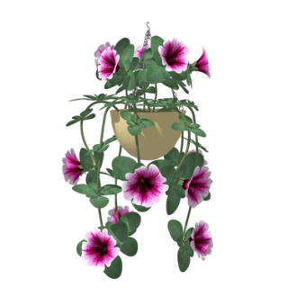 现代吊兰su模型