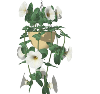 现代吊兰su模型