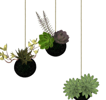 现代多肉植物盆栽su模型