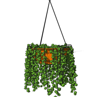 现代吊兰su模型