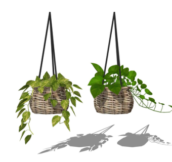 现代吊兰su模型