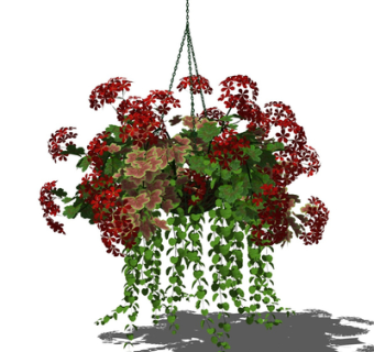 现代吊兰su模型