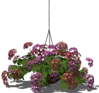 现代吊兰su模型