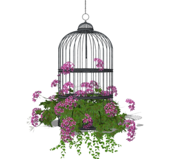 现代鸟笼盆栽su模型