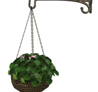 现代绿植盆栽su模型