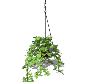 现代吊兰su模型