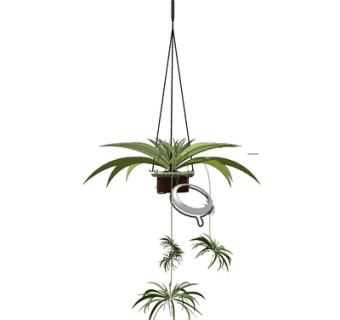 现代吊兰su模型