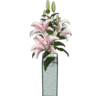 现代花瓶花卉su模型