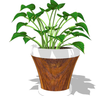 现代绿植盆栽su模型