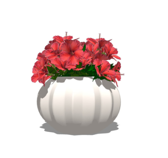 现代绿植盆栽su模型