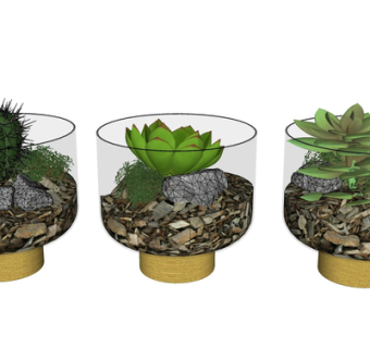 现代多肉植物盆栽su模型