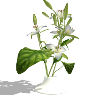 现代花瓶花卉su模型