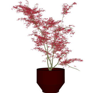 现代绿植盆栽su模型