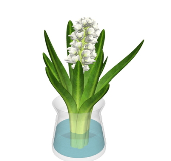 现代花瓶花卉su模型