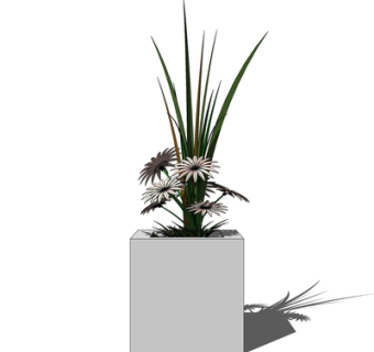 现代绿植盆栽su模型