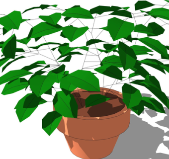 现代绿植盆栽su模型