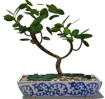 现代绿植盆栽su模型