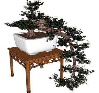 中式迎客松盆栽su模型