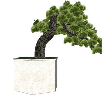 现代松树盆栽su模型