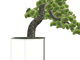 现代松树盆栽su模型
