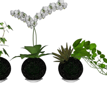 现代绿植盆栽su模型