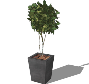 现代绿植盆栽su模型