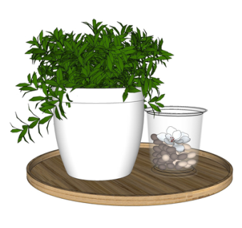 现代绿植盆栽su模型