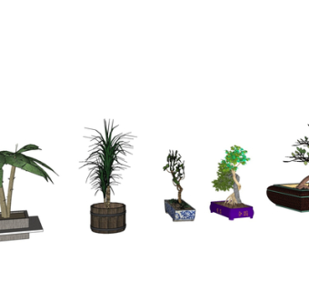 现代绿植盆栽su模型