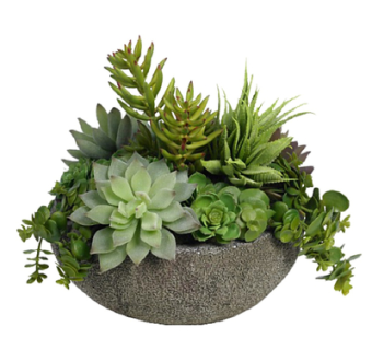 现代多肉植物盆栽su模型