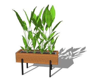 现代绿植盆栽su模型