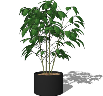 现代绿植盆栽su模型