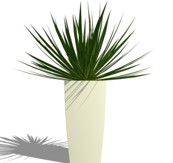 现代绿植盆栽su模型