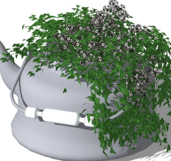 现代水壶盆栽su模型