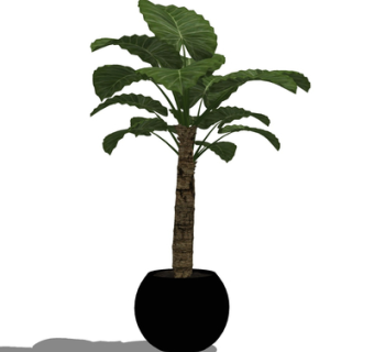 现代绿植盆栽su模型