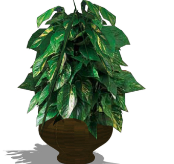 现代绿植盆栽su模型