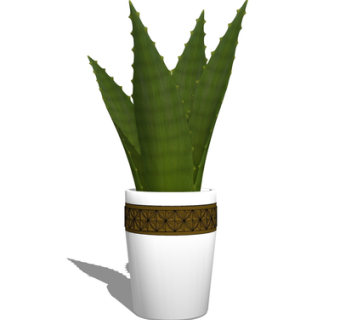 现代芦荟盆栽su模型