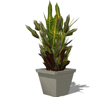 现代绿植盆栽su模型