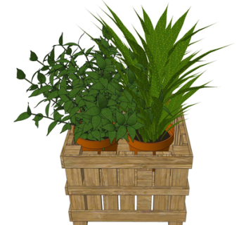 现代绿植盆栽su模型