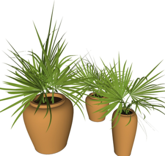 现代绿植盆栽su模型