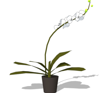 现代绿植盆栽su模型