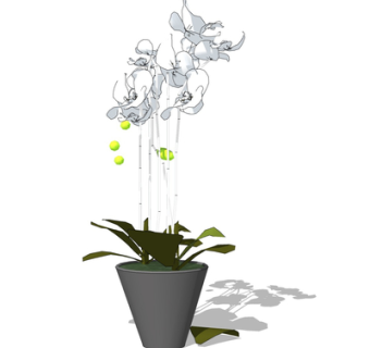 现代花卉盆栽su模型