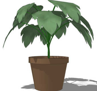 现代绿植盆栽su模型